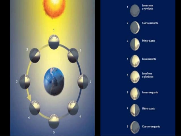 Movimientos de la luna: Importancia, consecuencias y mucho más