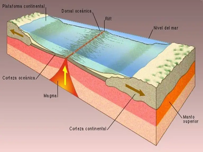 Dorsal Oceánica, lo que aún no Sabes de esta Característica de la Tierra Dorsal Oceánica, lo que aún no Sabes de esta Característica de la Tierra