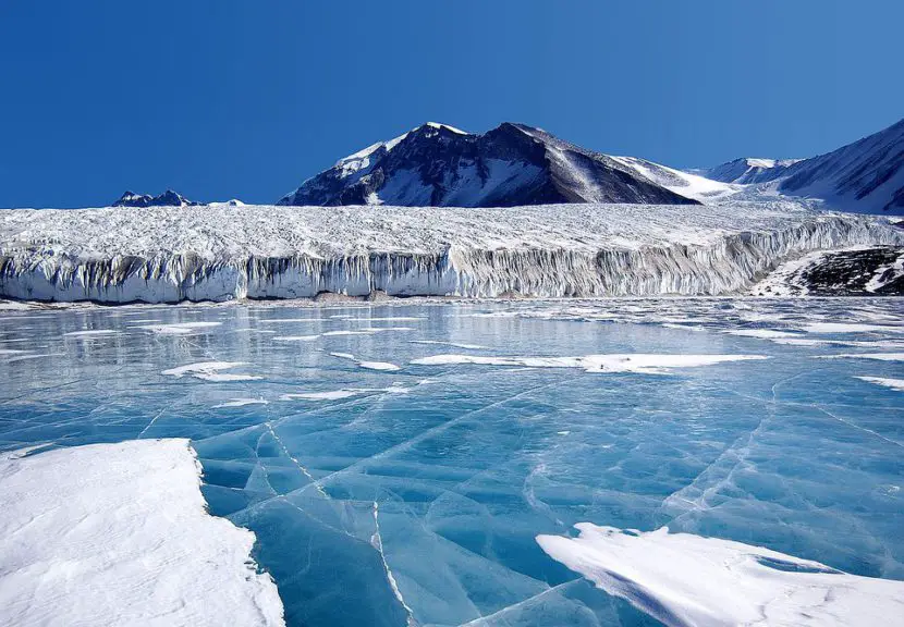 Clima Polar: ubicación, caracteristicas, fauna y más.