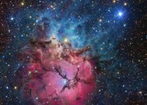 Nebulosa trífida: Lo que deberías saber, características, tipos y más