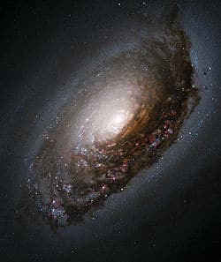 Galaxia espiral ojo negro
