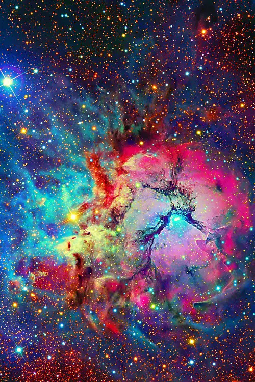 nebula tífida