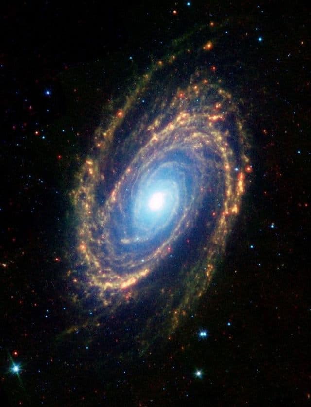 galaxia hermosa M81
