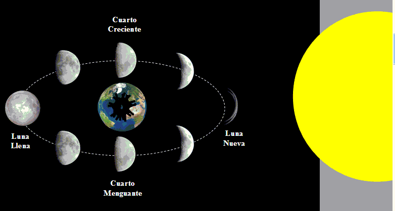 Primavera qu Es Caracter sticas Historia Y Mucho M s primavera-qu-es-caracter-sticas-historia-y-mucho-m-s