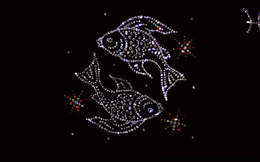 Constelaciones-del-zodiaco 76