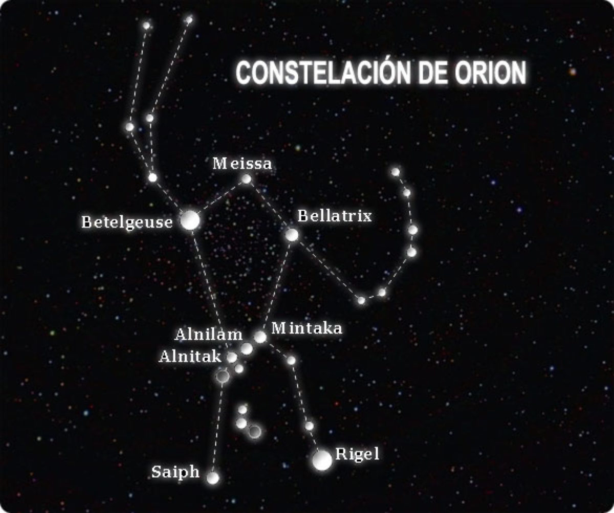Беллатрикс звезда в созвездии Ориона