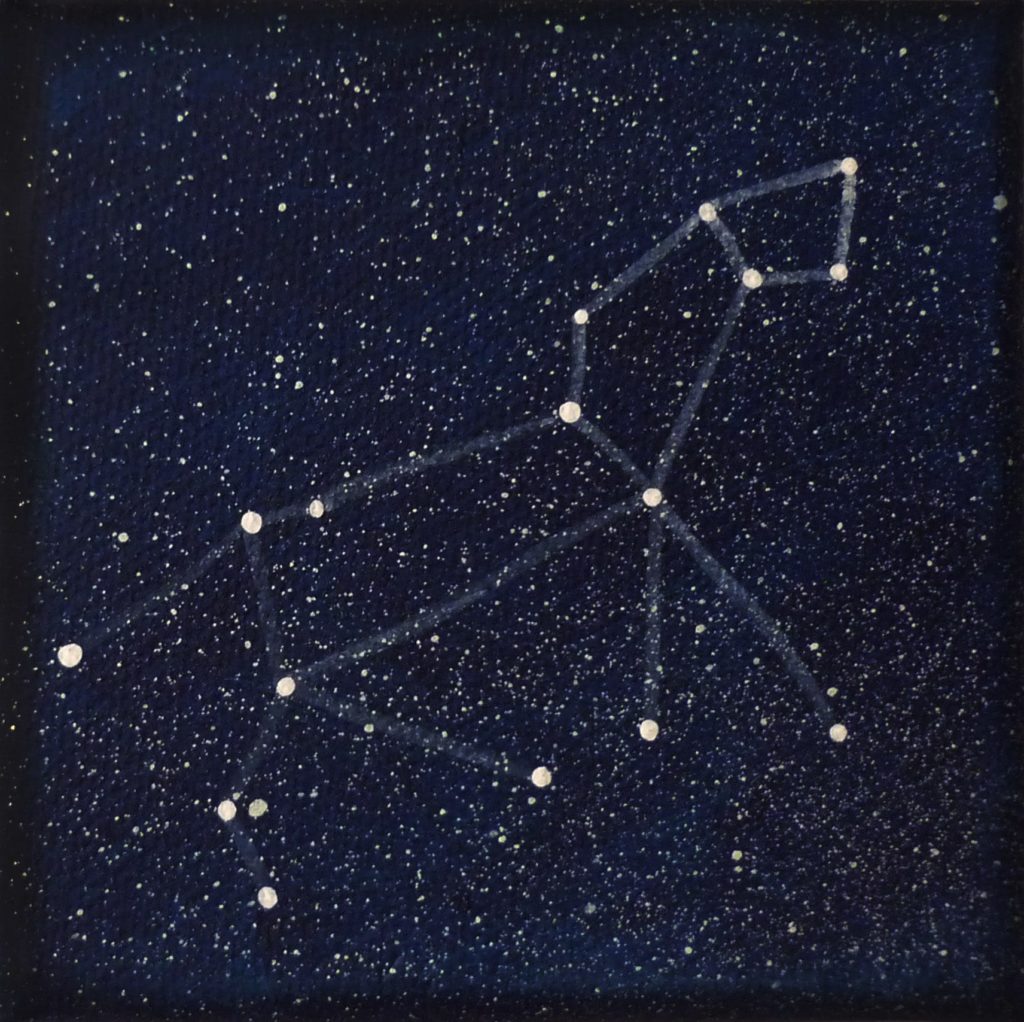 Constelación de estrellas de leo