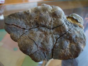 ¿Cuánto vale un meteorito? Asómbrate con las cifras astronómicas