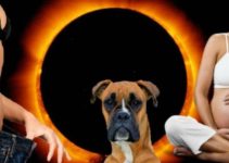 mitos del eclipse solar
