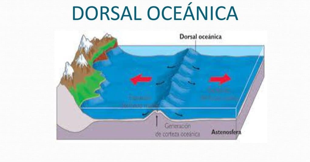 Que Son Las Dorsales Oceanicas Dinami 2808