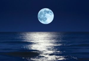 Mareas: ¿Qué es?, Tipos, Influencia de la Luna y Mucho Más