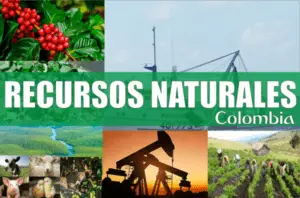 Recursos Naturales: ¿Qué son?, Clasificación, Explotación, Conservación y Más