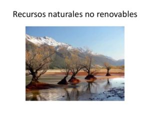 Recursos Naturales: ¿Qué son?, Clasificación, Explotación, Conservación y Más