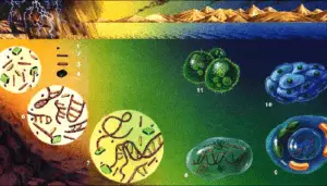 Biomoléculas: ¿Qué son?, Características, Tipos, Función, Importancia