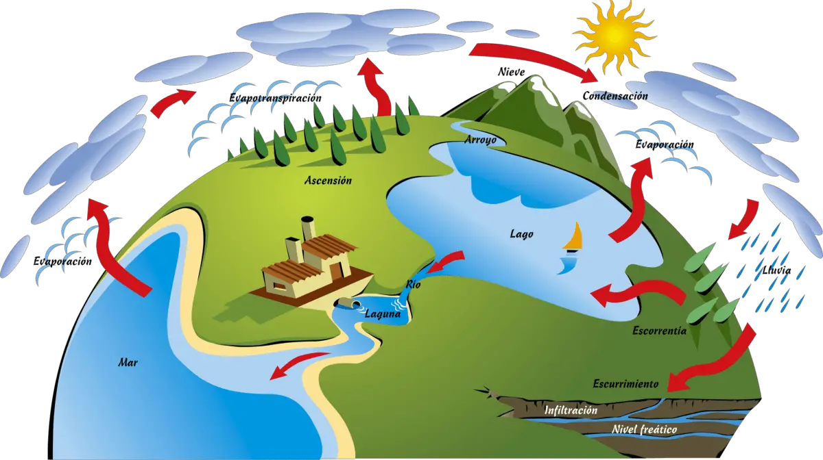 Ciclo Del Agua: ¿Qué Es?, Características, Fases Y Más