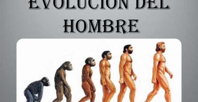 Evolución del Hombre