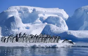 Polo Sur: Ubicación, Temperatura, Clima y Mucho Más