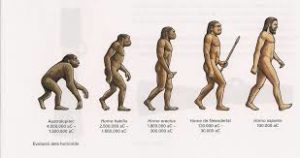 Evolución del Hombre: ¿Qué es?, características, etapas y más