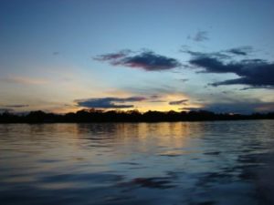 Amazonia: ubicación, ¿Qué es? relieve, flora, fauna y más