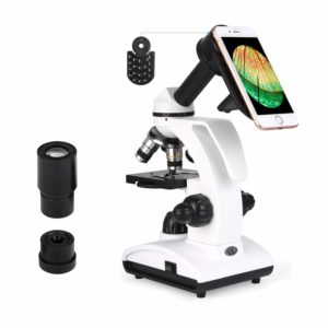 Partes del Microscopio: Significado, Funciones, Uso y más