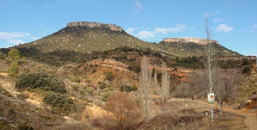 Cerro testigo