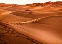 Desierto de Sahara