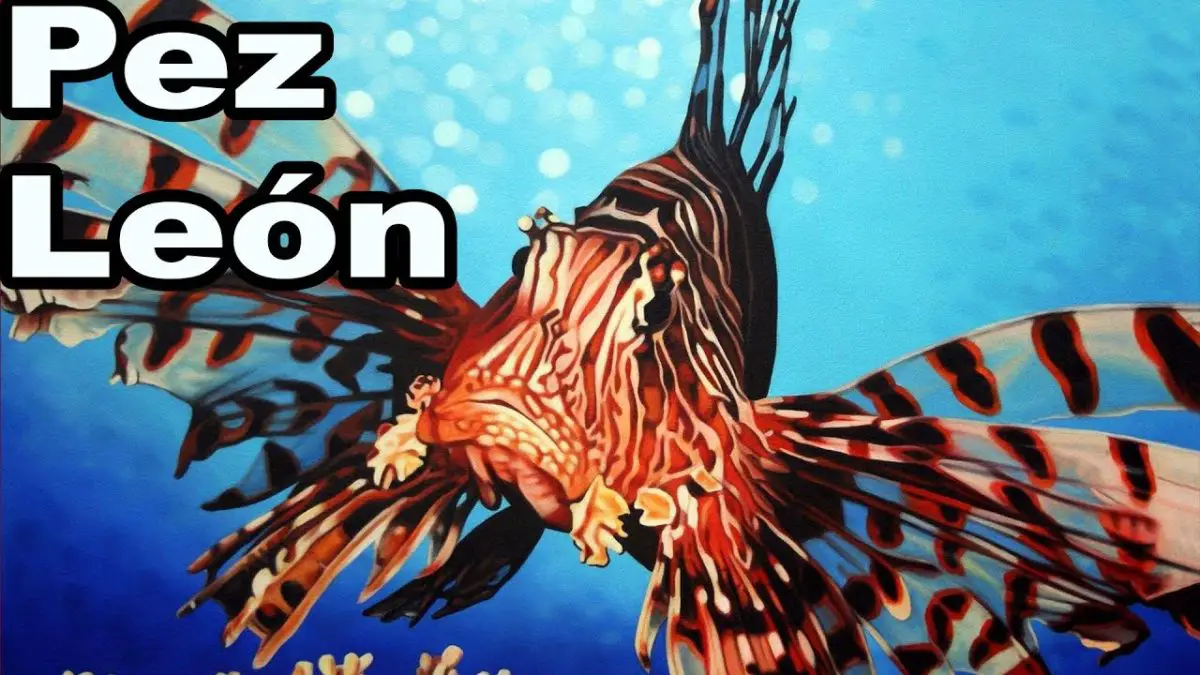 Pez-León-7