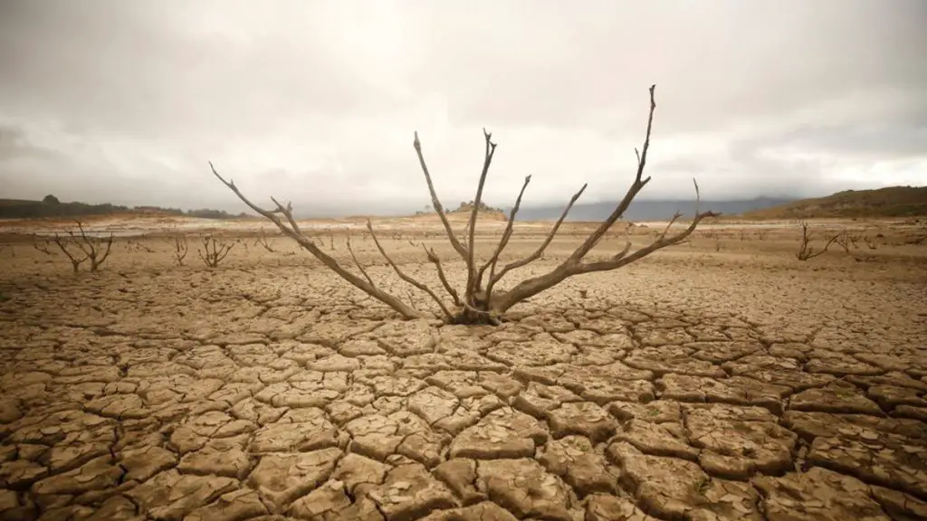 tipos de sequía